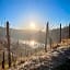 Boutique Guesthouse Das WOHLGEMUTH HEIM Mosel Weingut