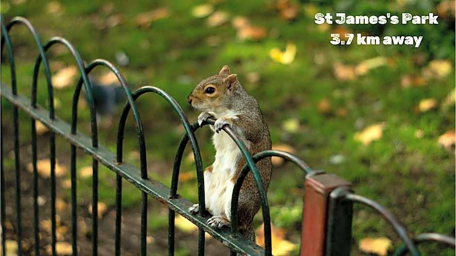 54 Queen's Gate Hotel