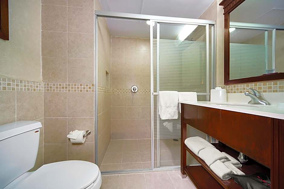 Hampton Inn By Hilton And Suites Mexico City