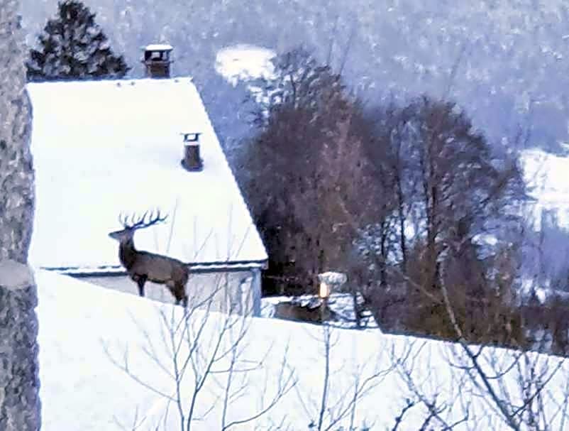 La Ferme de Jean entre lacs et montagnes