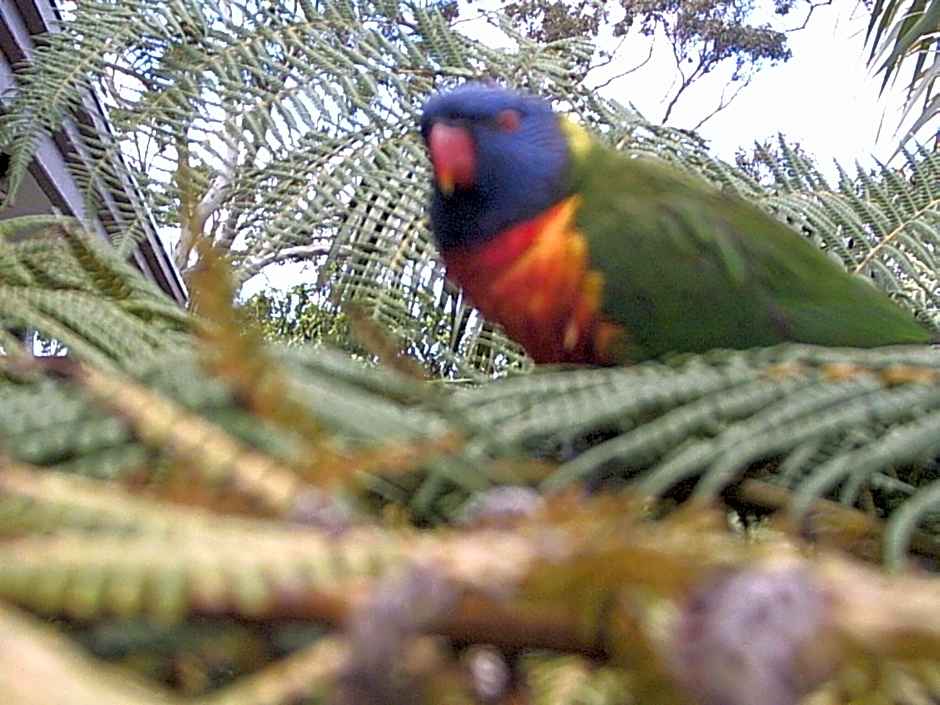 Sacred Mountain Retreat