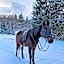 Centrul de Echitatie Poiana Brasov