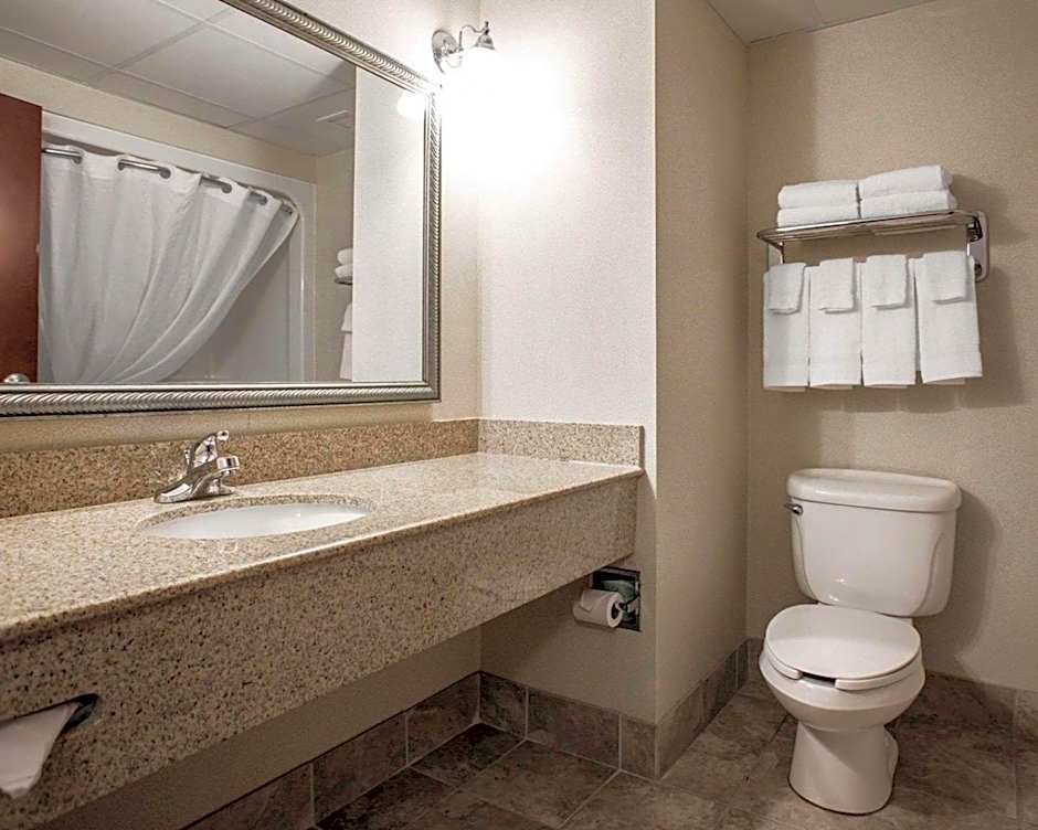 Comfort Inn & Suites Lumberton Central I-95