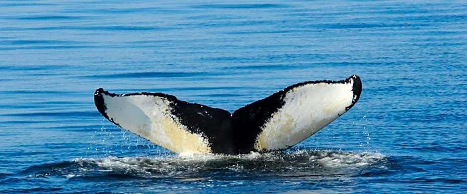 Hôtel Sous la Croix 152725