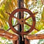 El Barco