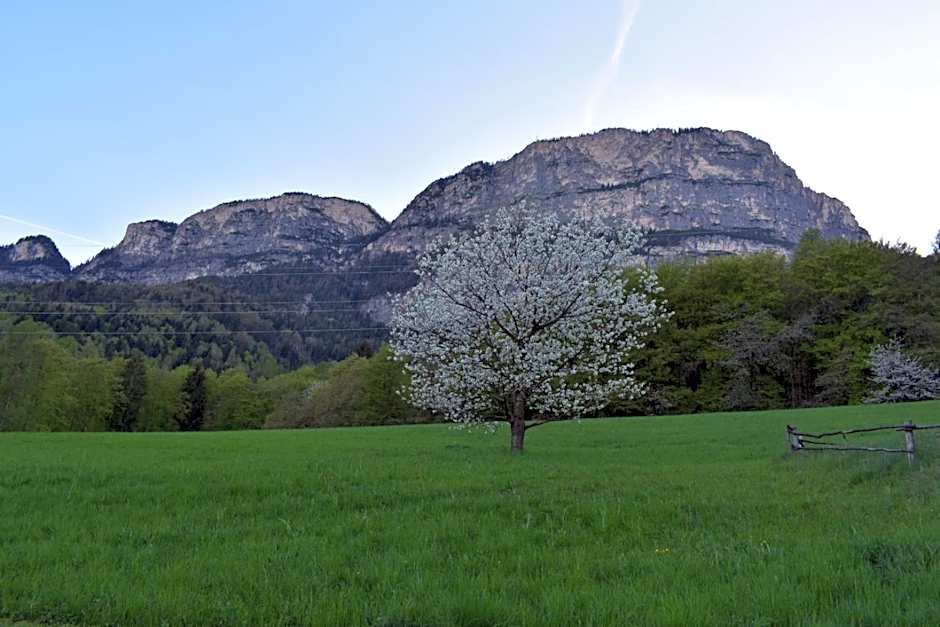 Gasthof Wieser