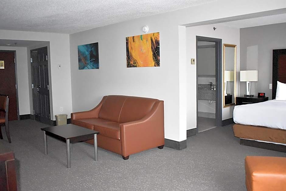 Wingate By Wyndham Atlanta Galleria Center