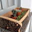 My Eco Rooms Olbia