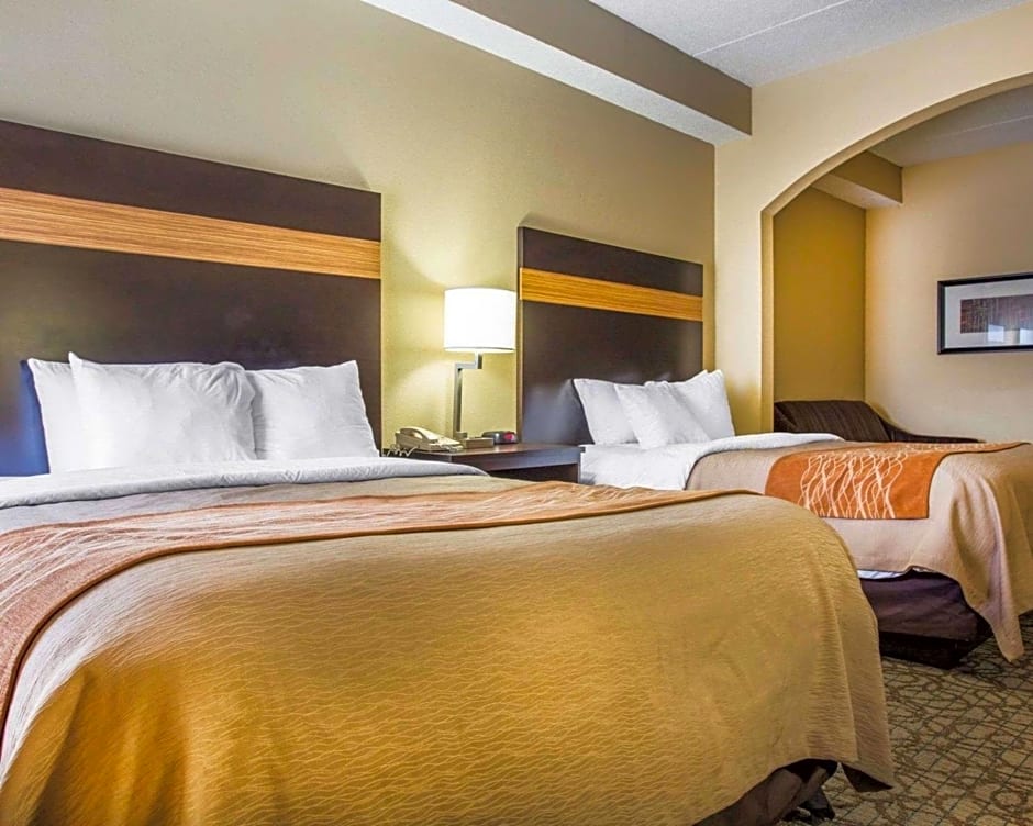 Comfort Inn & Suites At Stone Mountain