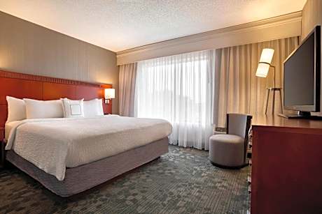 King Suite with Sofa Bed