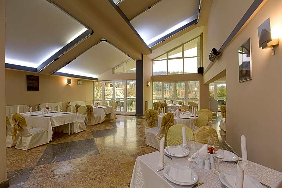 Hotel Alexandros Busteni