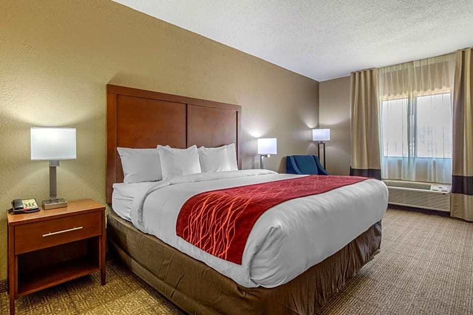 Comfort Inn & Suites Mccomb