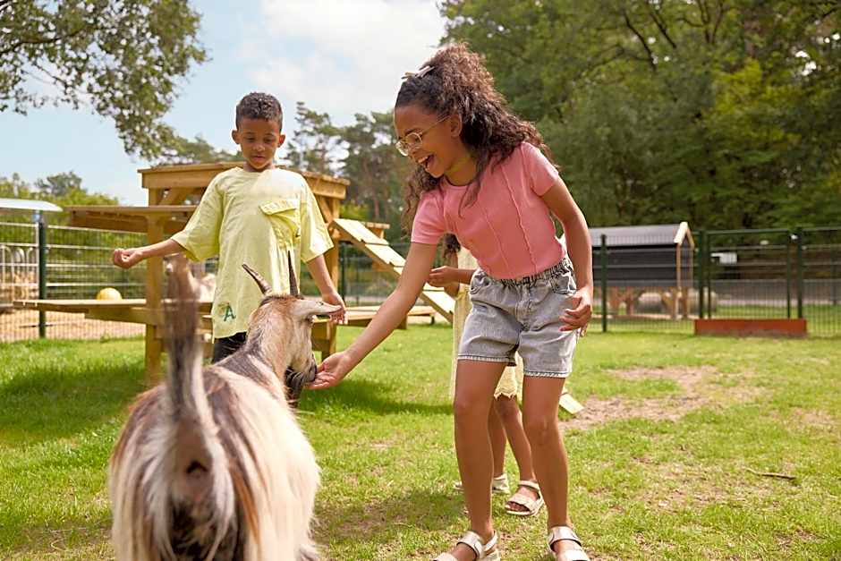RCN Vakantiepark de Noordster
