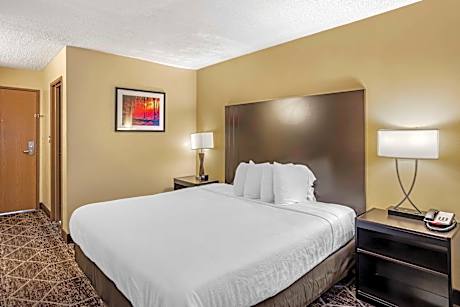 King Room - Non-Smoking