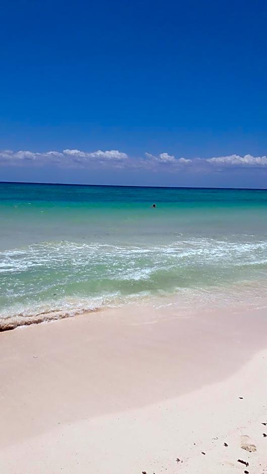 Ocean Zen Suites on 5th Avenue - Adults Only