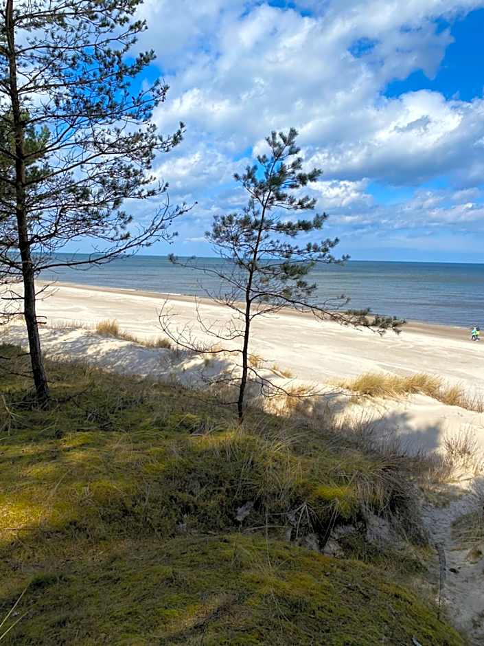 Dom Gościnny Emma Grzybowo