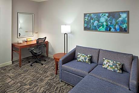 Junior King Suite with Seating Area