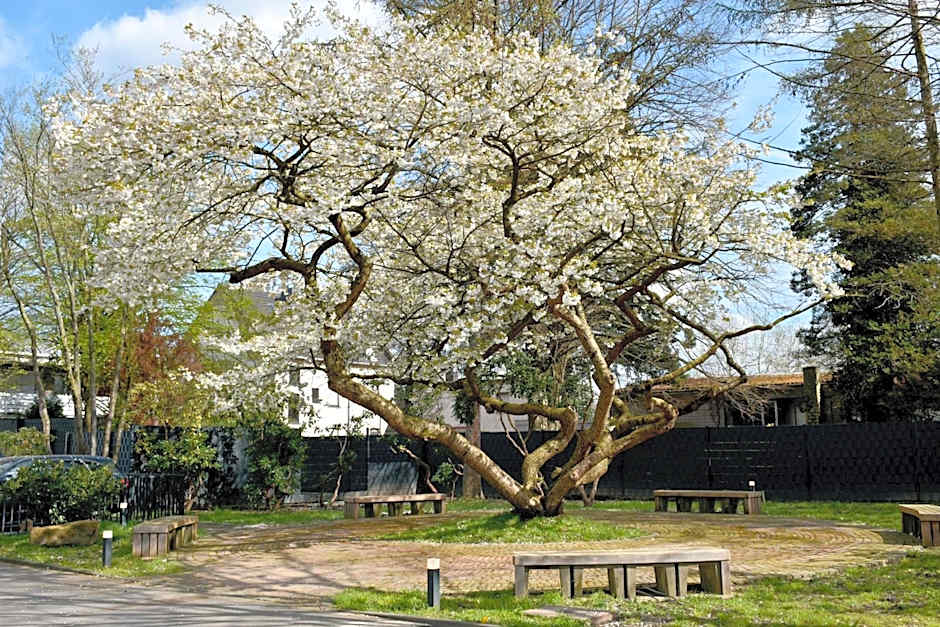 TIBET HOTEL am Airport Düsseldorf-Ratingen