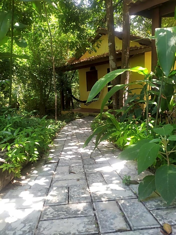 Aruá Observação de Vida Silvestre