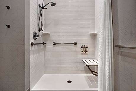 1 King Standard Mobility Accessible Roll In Shower