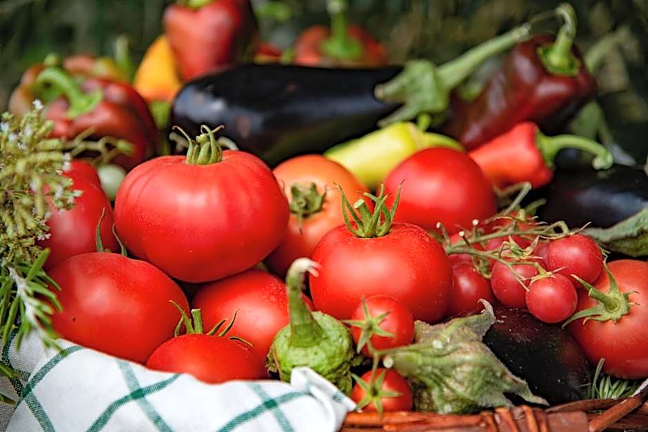 Potidea Palace Hotel