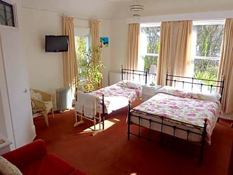 Triple room-Deluxe-Ensuite with Shower