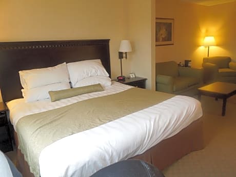 Suite-1 King Bed, Non-Smoking, 2 Flat Screen Tvs, Lounge Chair, Sofa, Microwave And Refrigerator, Wi-Fi, Full Breakfast