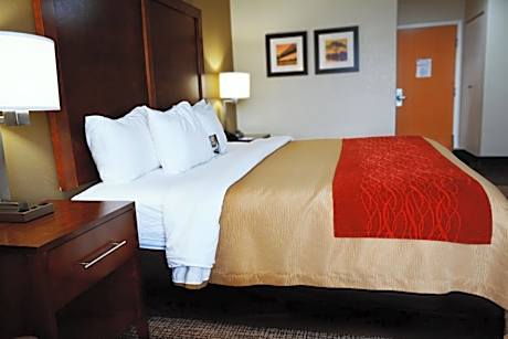 1 King Bed, Nonsmoking