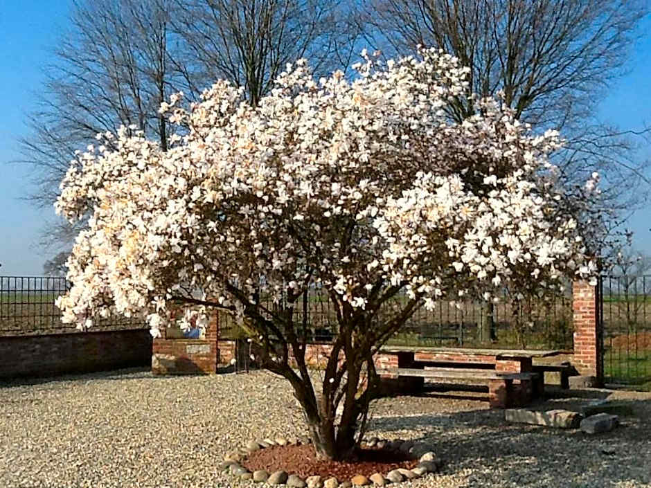 B&B Cascina Baraggione