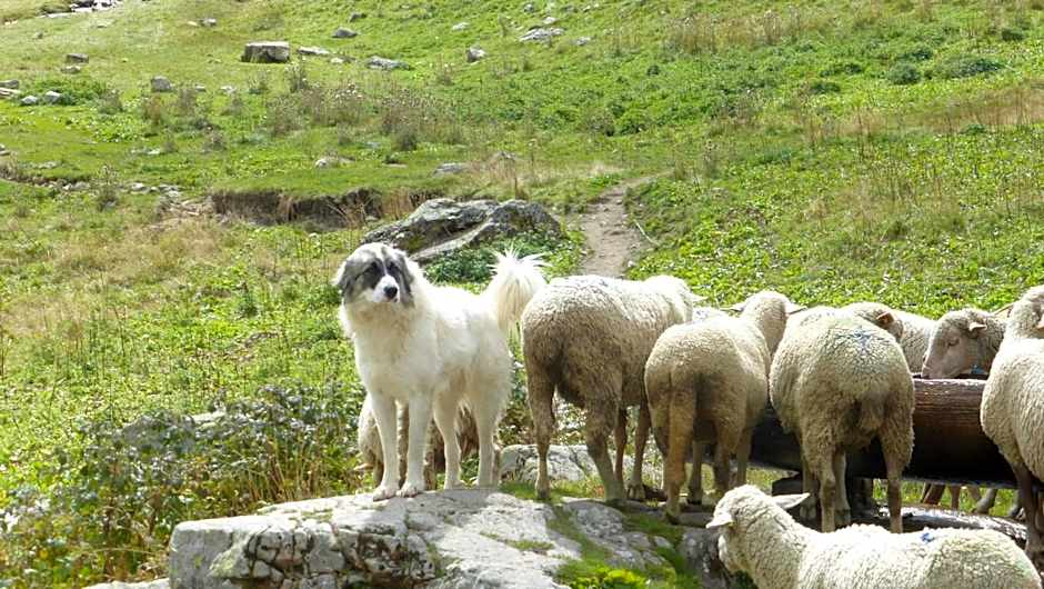 Résidence Les Ecrins