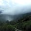 Neelakurunji Plantation Munnar