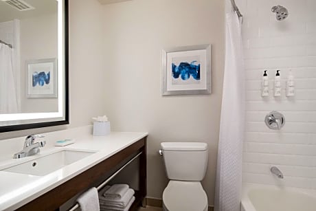 Traditional Room, 1 King Bed