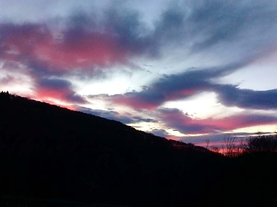 Appartamento La Casa nel Bosco