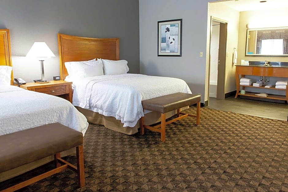 Hampton Inn By Hilton & Suites Chesapeake