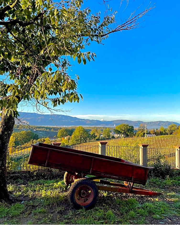 Donna Vittori - Borgo Agricolo