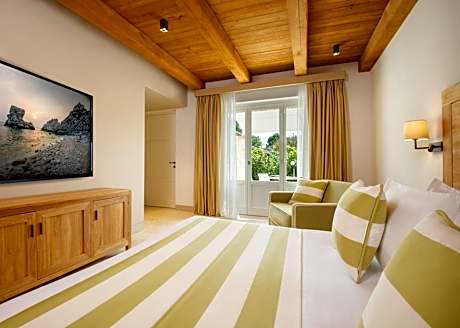 Double Room with Patio and SPA access