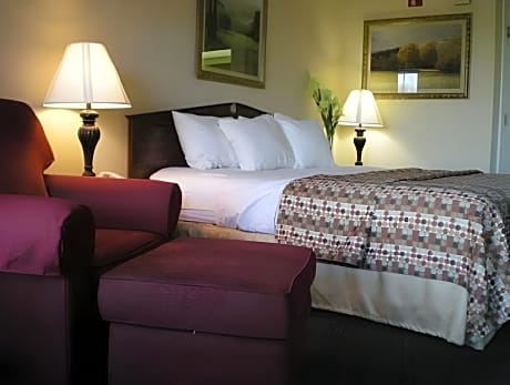 1 Bedroom Suite