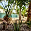 Pure Baja Private Suites-Upscale Property with Infinity Pool and Lush Gardens