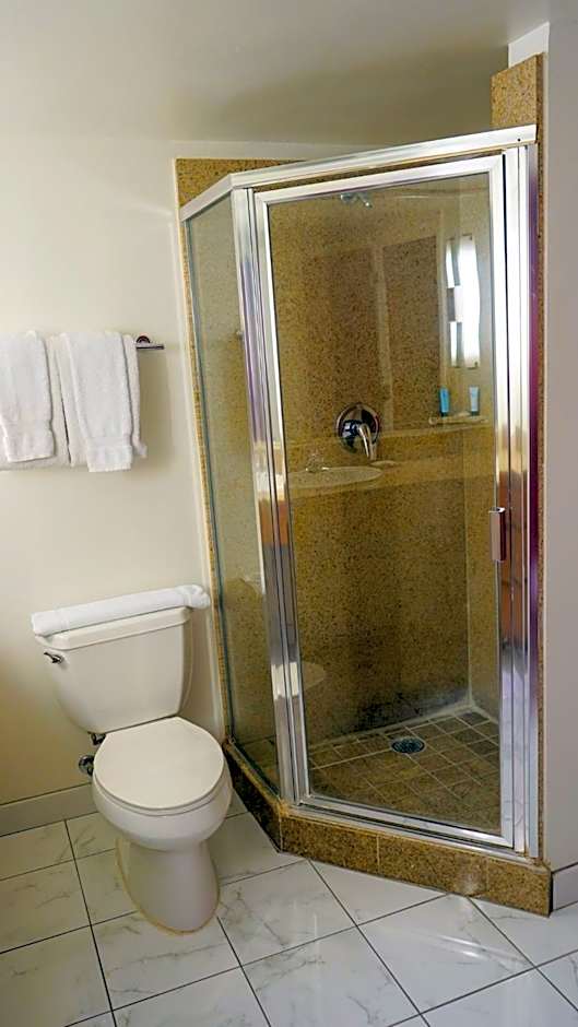 Downtown Grand Hotel & Casino