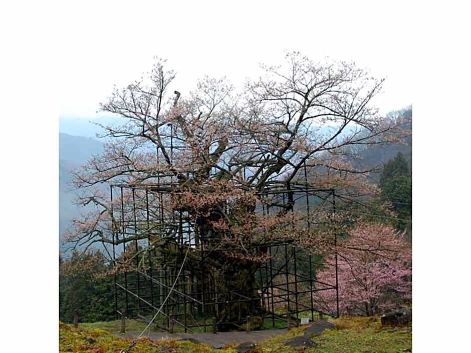 Pure Hotel - Vacation STAY 44177v