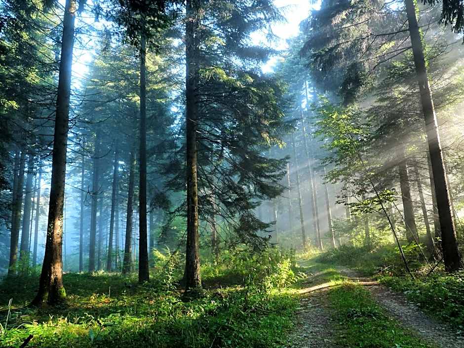 Odalgården Hotell, Kurs & Konferens