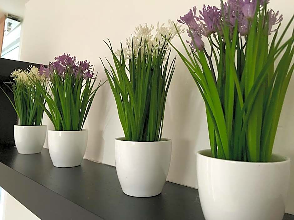 Metropolis Suites Ejecutivas