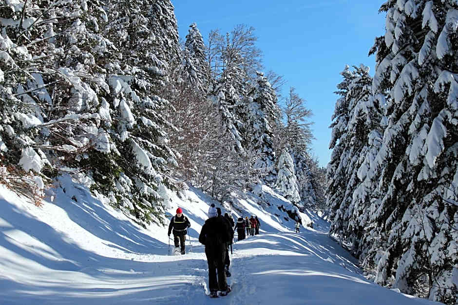 Auberge La Soulan