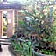 GRIYA PASIR UKIR