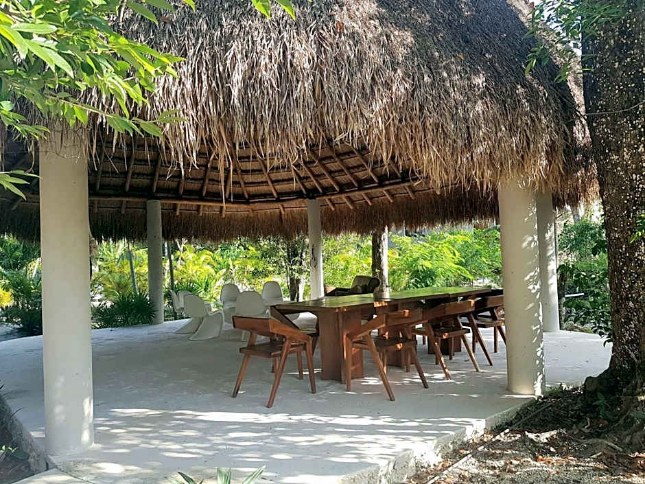 Santuario Jungle