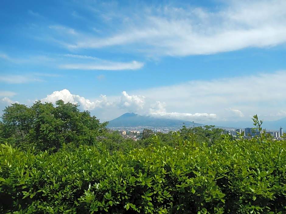 Zia Bi Bed and Breakfast