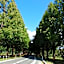 Forest Villa YUMESUZU the Closest Accommodation to the Metasequoia Tree-lined Avenue