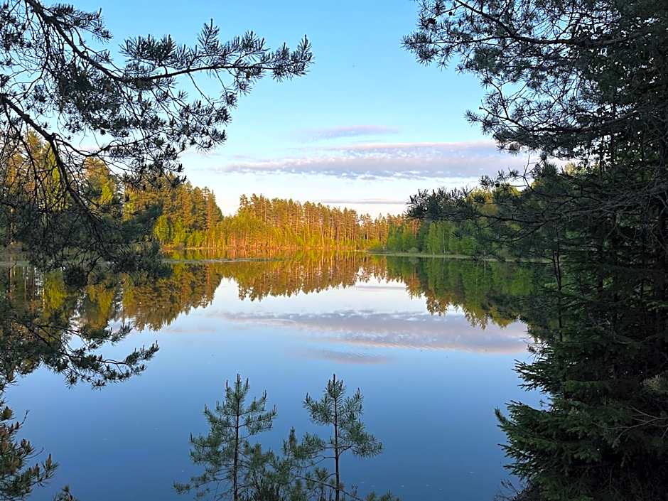 Nya Skogsgården Hostel