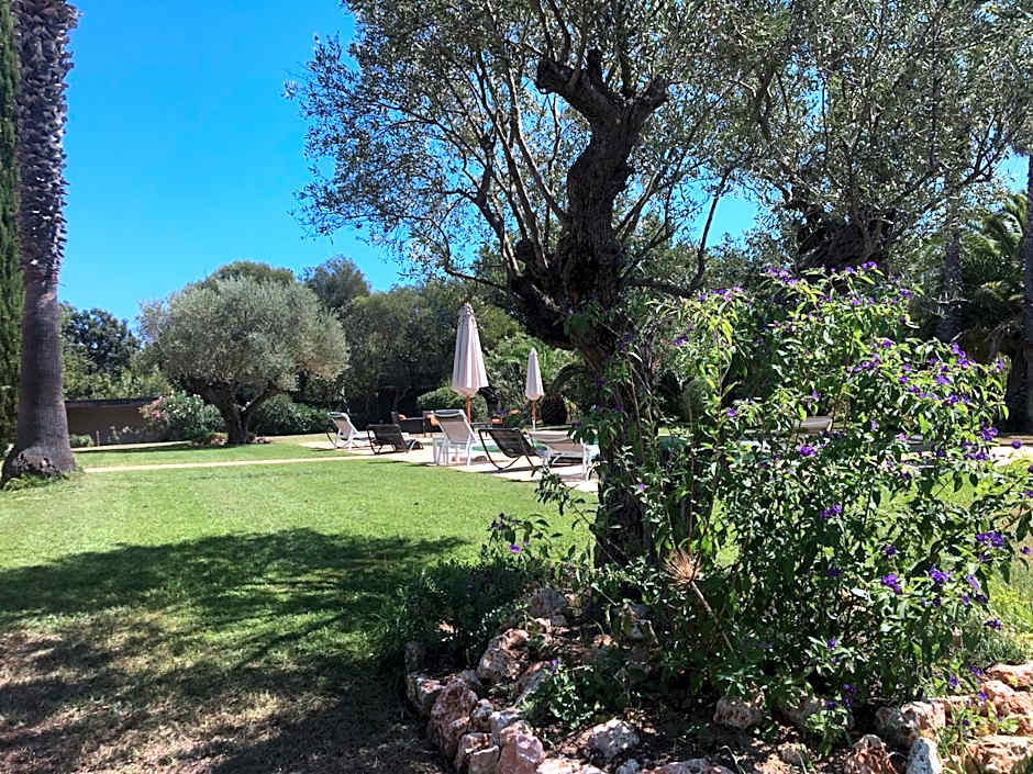 Clos des Vignes Pampelonne Vineyard