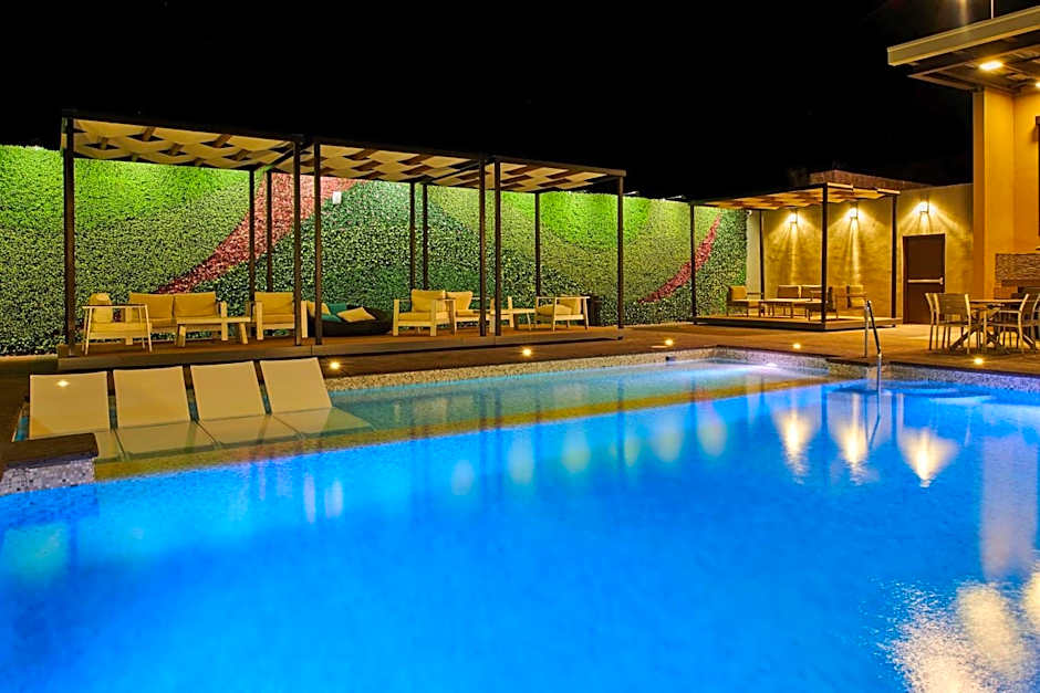 Wingate by Wyndham Chihuahua